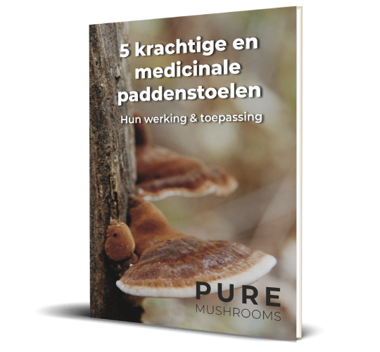 Paddenstoelengids Pure Mushrooms - 2021
